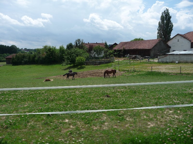 ../Images/Bockerlbahnradweg 042.jpg